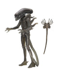 Alien 7-Inch Action Figure J274