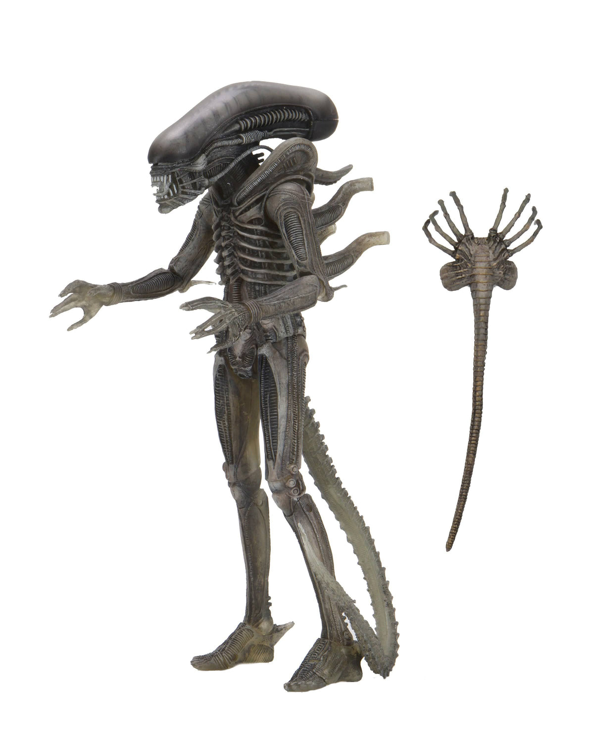 Alien 7-Inch Action Figure J274