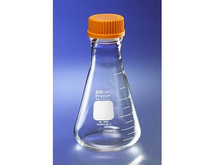 1L Erlenmeyer Flask U409884