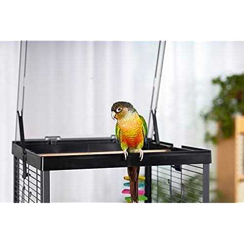 Bird Cage G908225