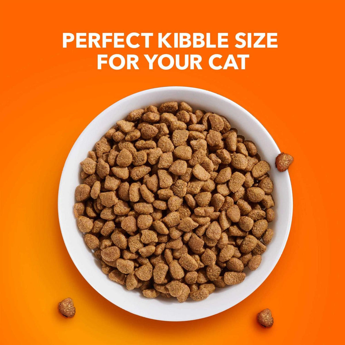 Sensitive Digestion & Skin Dry Cat Food M365