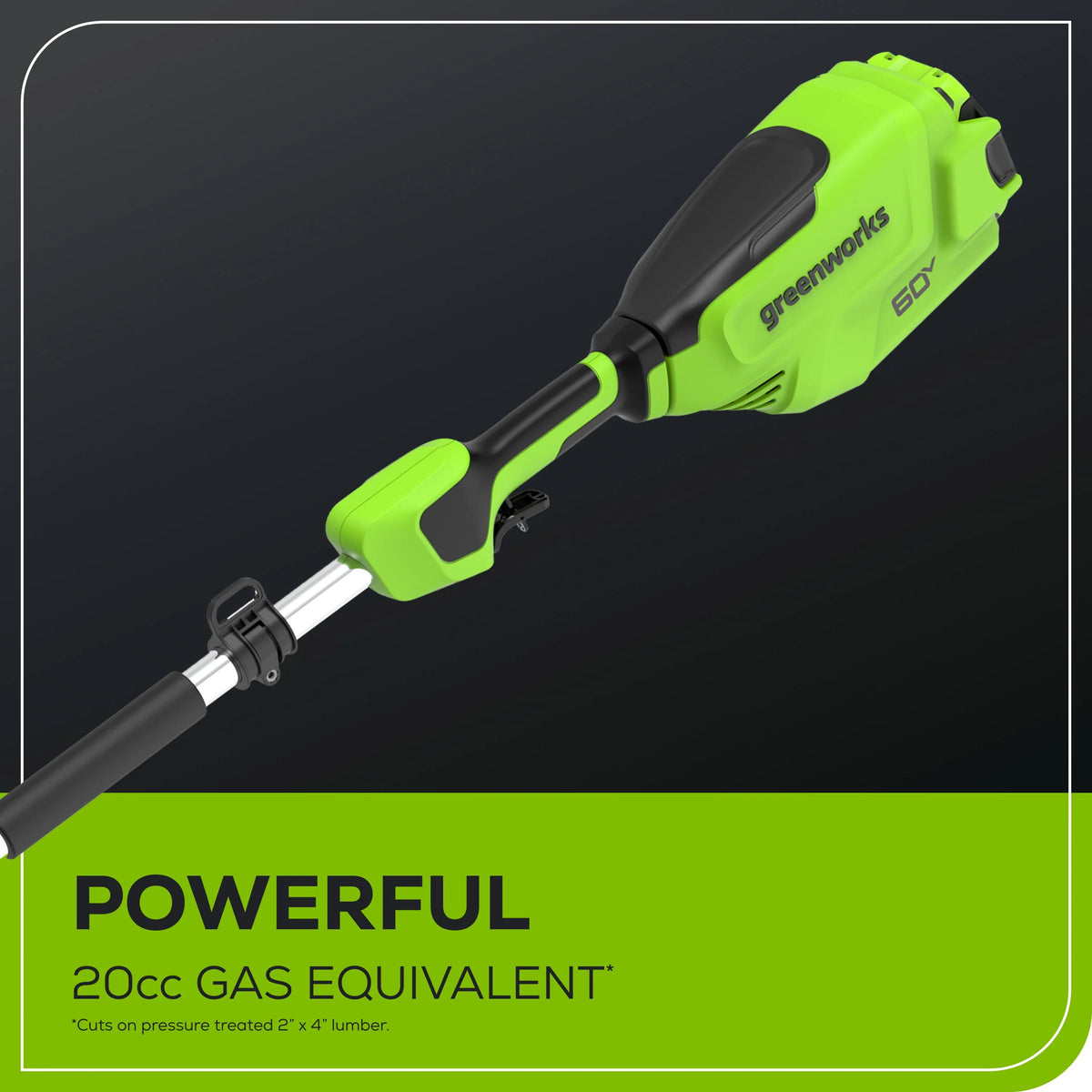60V 10 Pole Saw with 2.0 Ah Battery & 3 Amp Charger V541