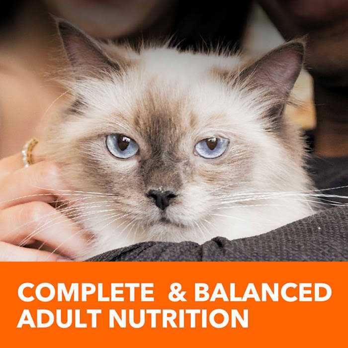 Sensitive Digestion & Skin Dry Cat Food M365