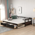 Wooden Daybed with Trundle Bed and Two Storage Drawers W24699