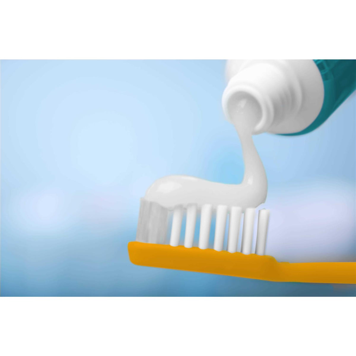 Advanced Care Dental Kit for Cats O23349