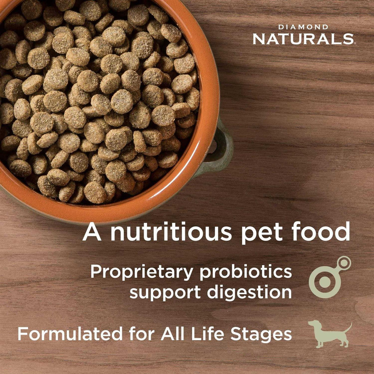 Salmon & Potato Dry Dog Food C7526