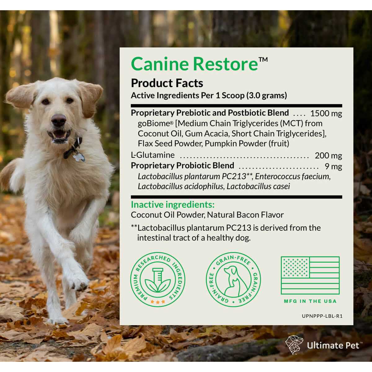 Probiotic Digestive Support Powder for Dogs 3.17 oz E59886