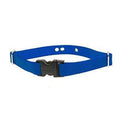 Dog Collar C3533