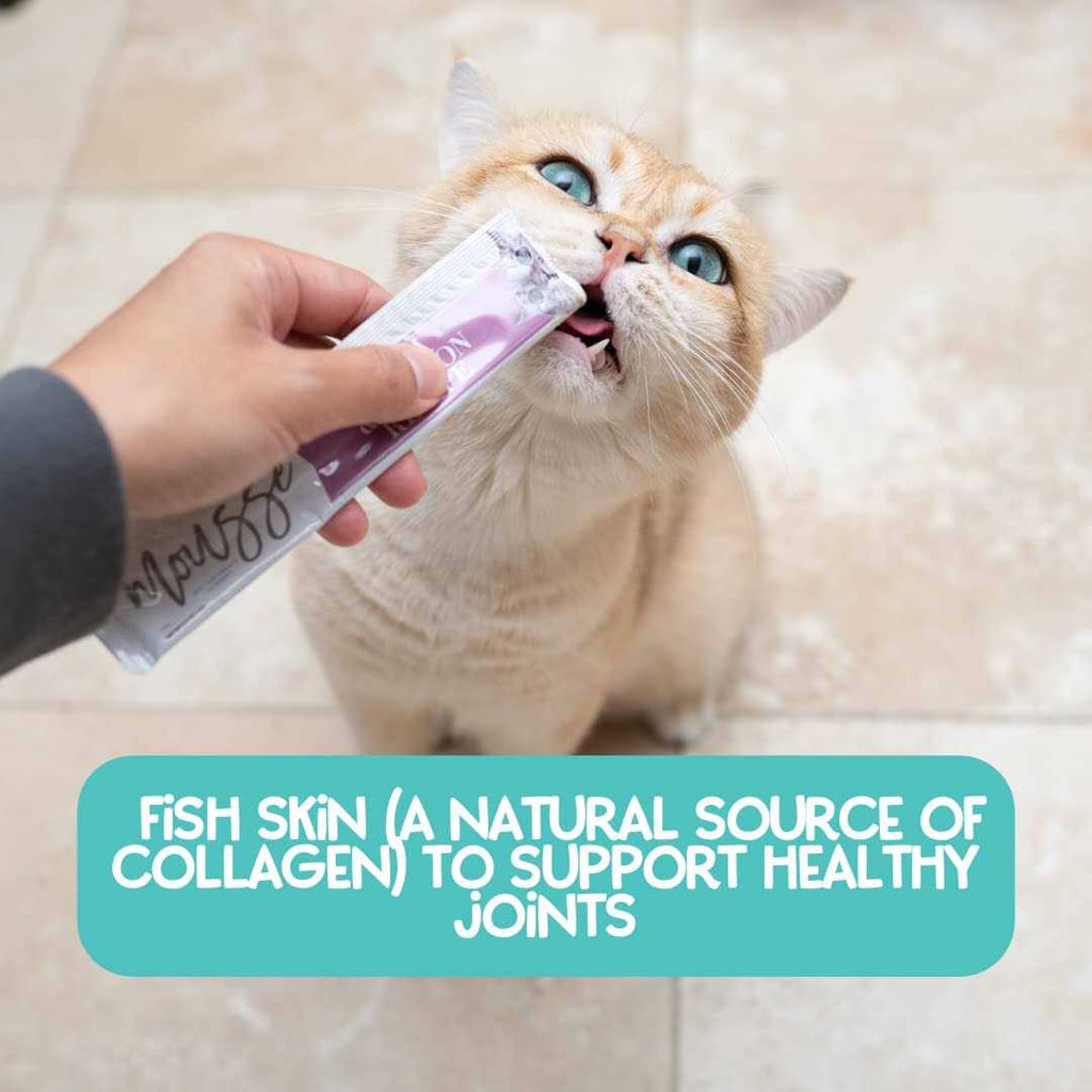 Variety Pack Mousse Cat Treats Q213