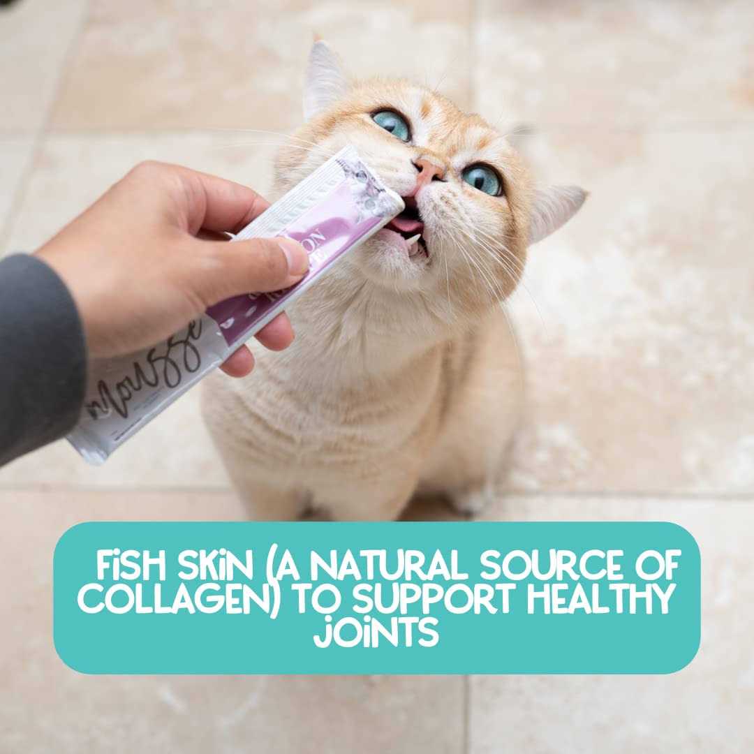 Variety Pack Mousse Cat Treats Q213