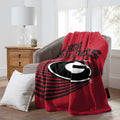 Raschel Throw Blanket 60" x 80" J33150