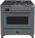 Blue Grey Dual Fuel Natural Gas Range M38496