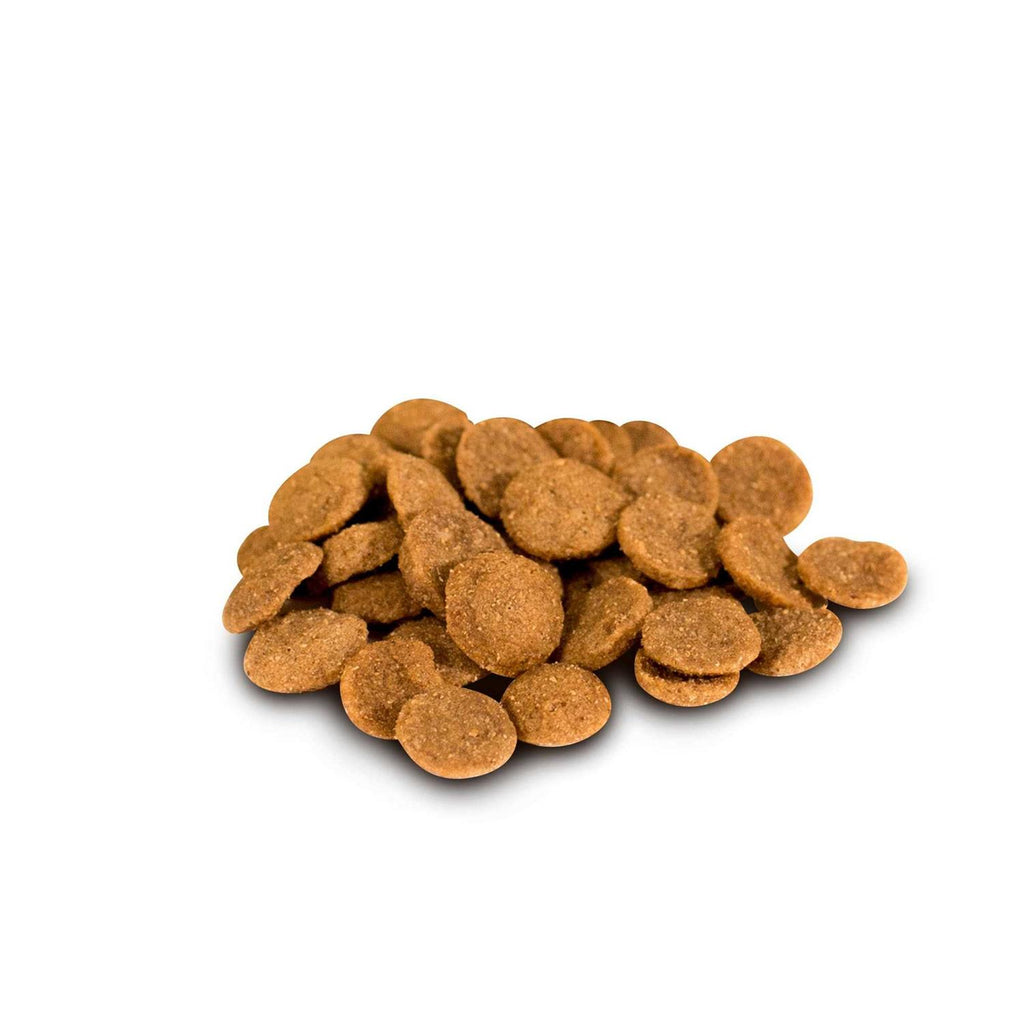 Grain-Free Dry Dog Food D4668