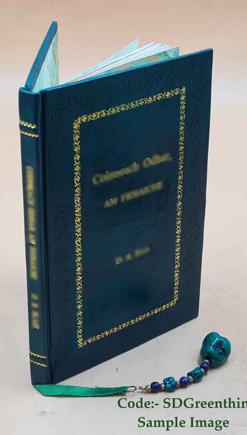 Hingham Early Settlement Life Landmarks Historic Sites Buildings 1911 Leather Bound Z179181