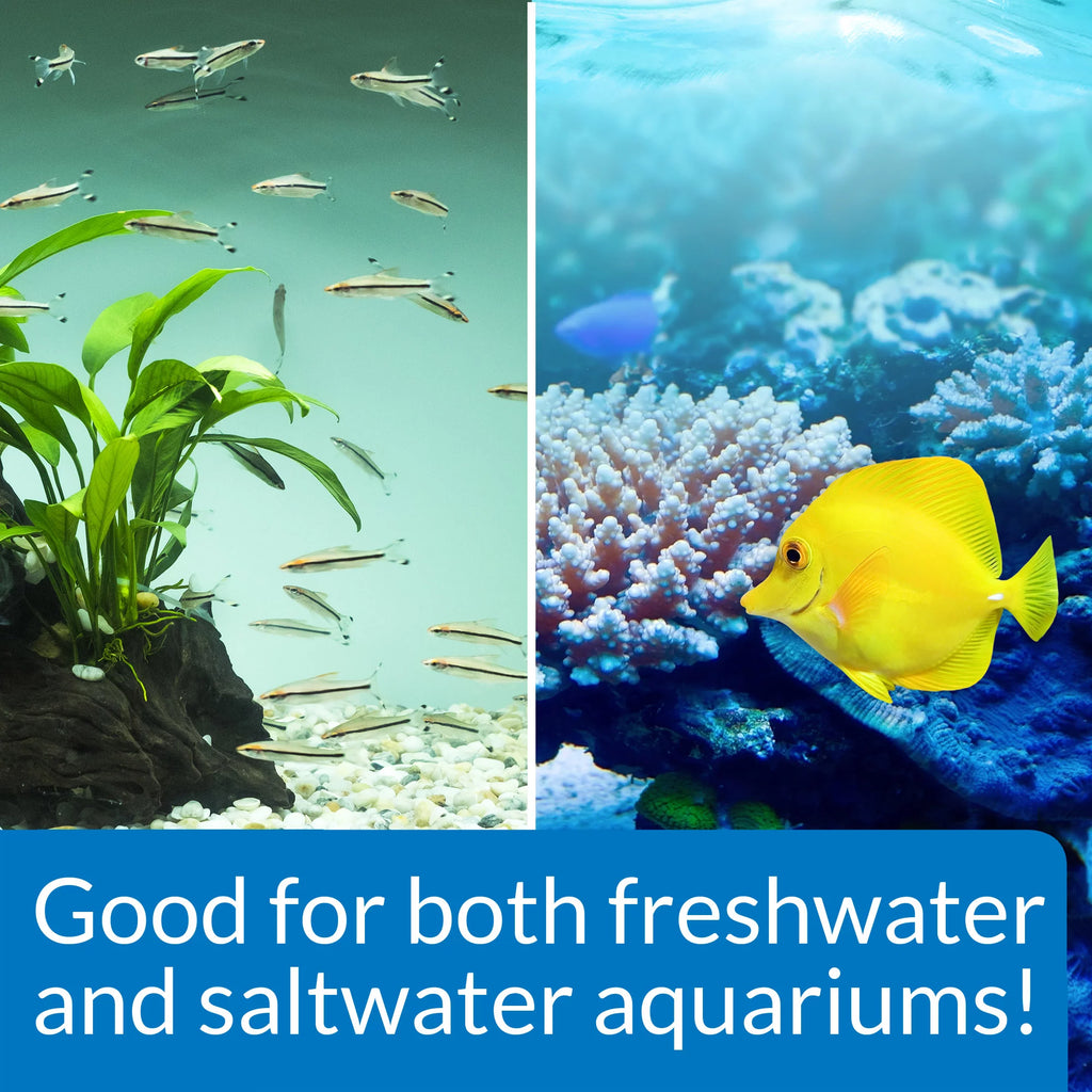 Freshwater And Saltwater Aquarium Cleaning Solution 1 Gal O8812
