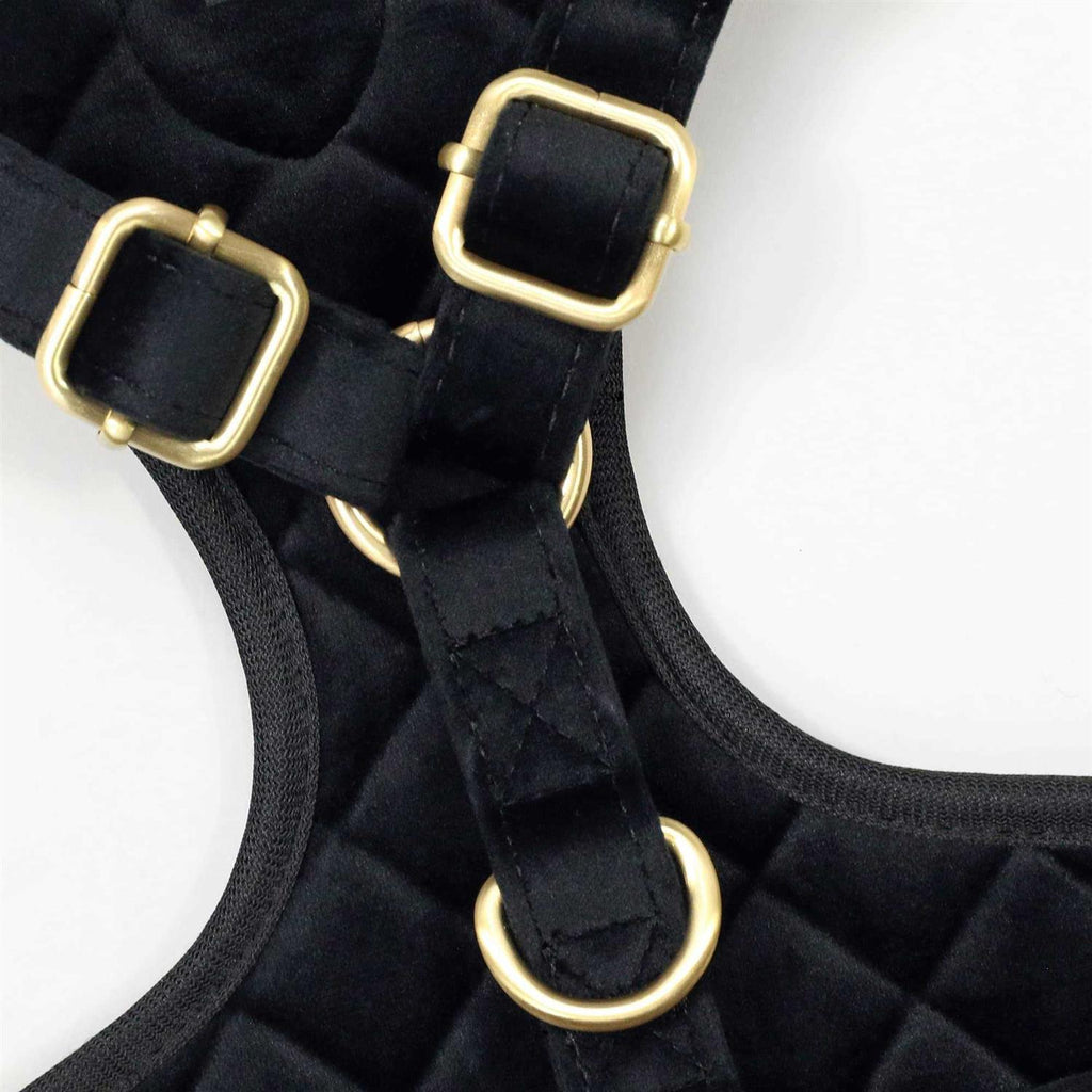Quilted Pet Harness P196825