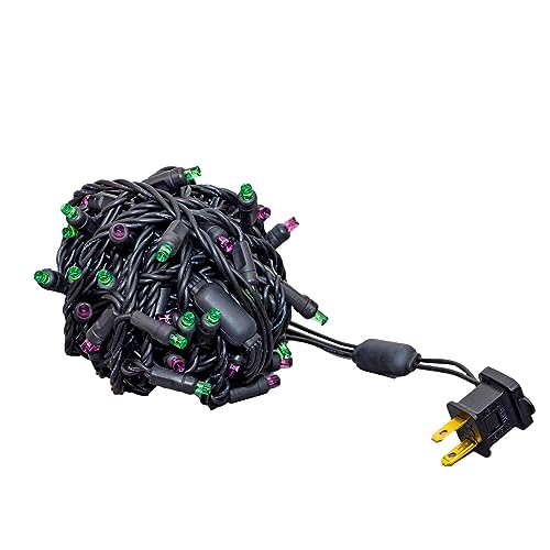 50 LED Purple/Lime Green String Lights on Black Wire W2884