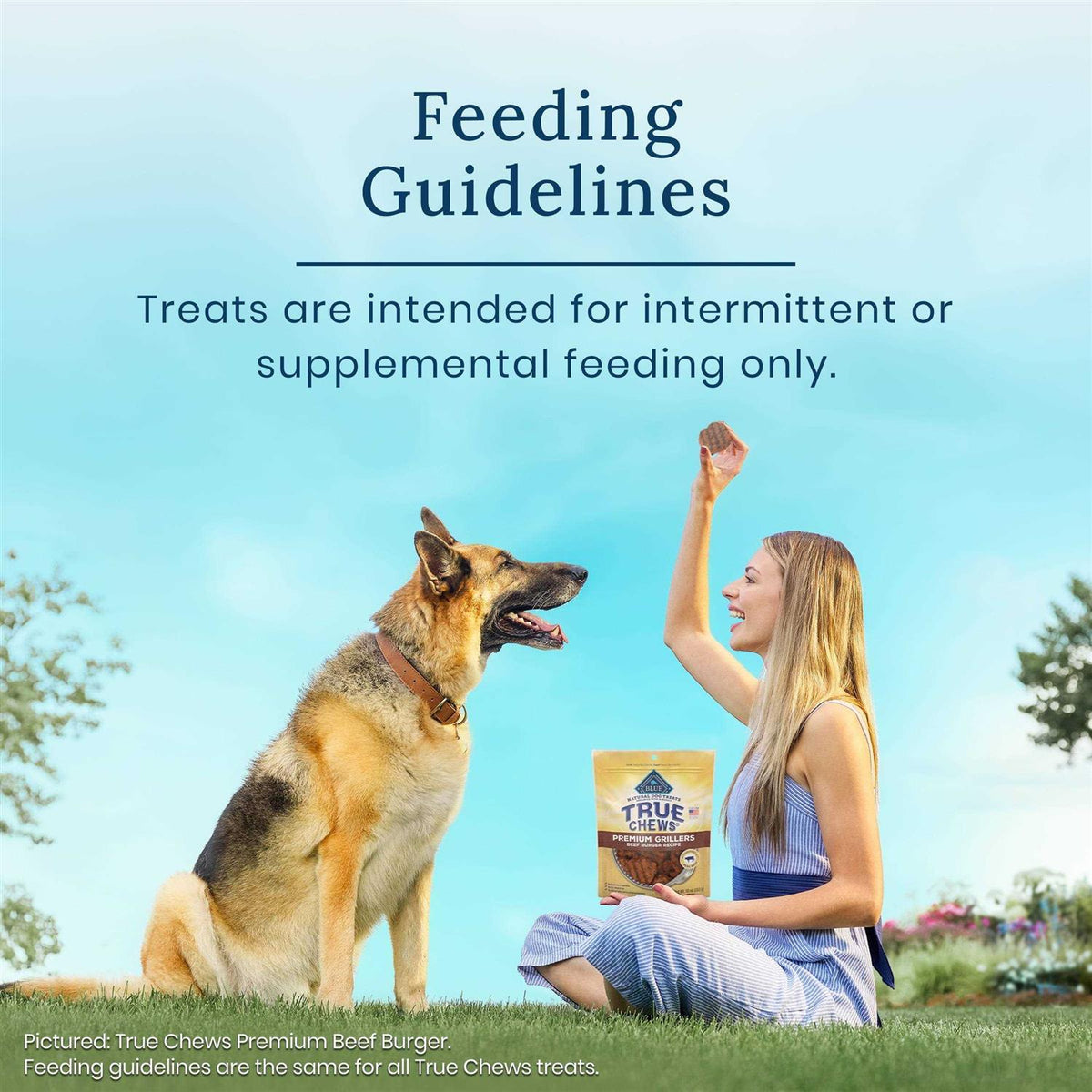 Premium Jerky Cuts Dog Treats Q153