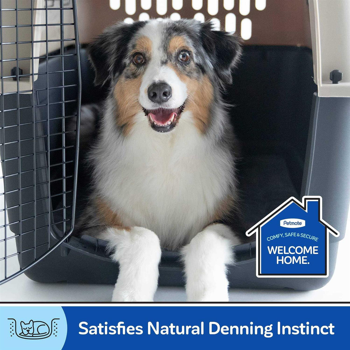 Pet Kennel C168344