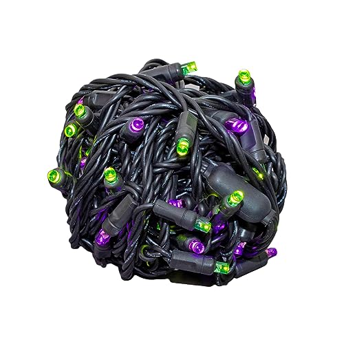 50 LED Purple/Lime Green String Lights on Black Wire W2884