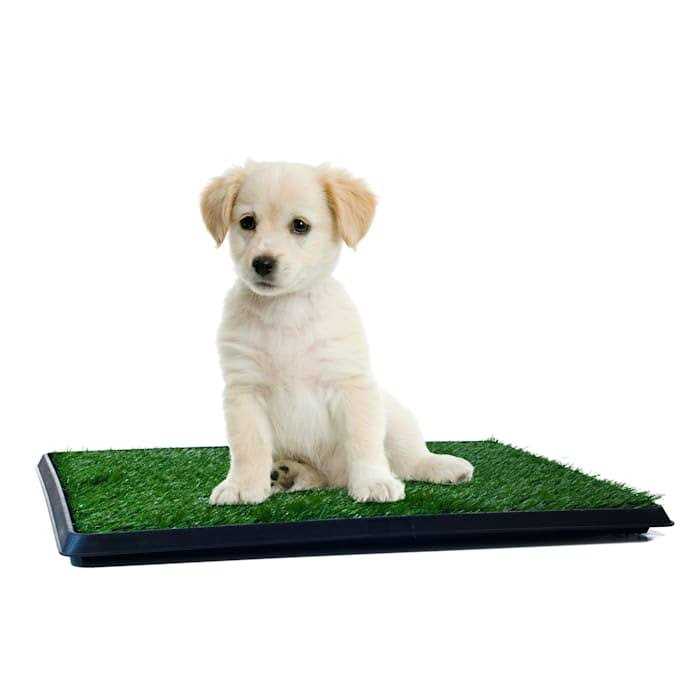 Pet Supplies C877