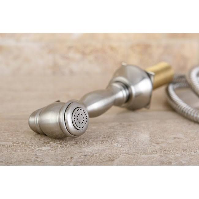 Polished Brass Kitchen Faucet Sprayer D556