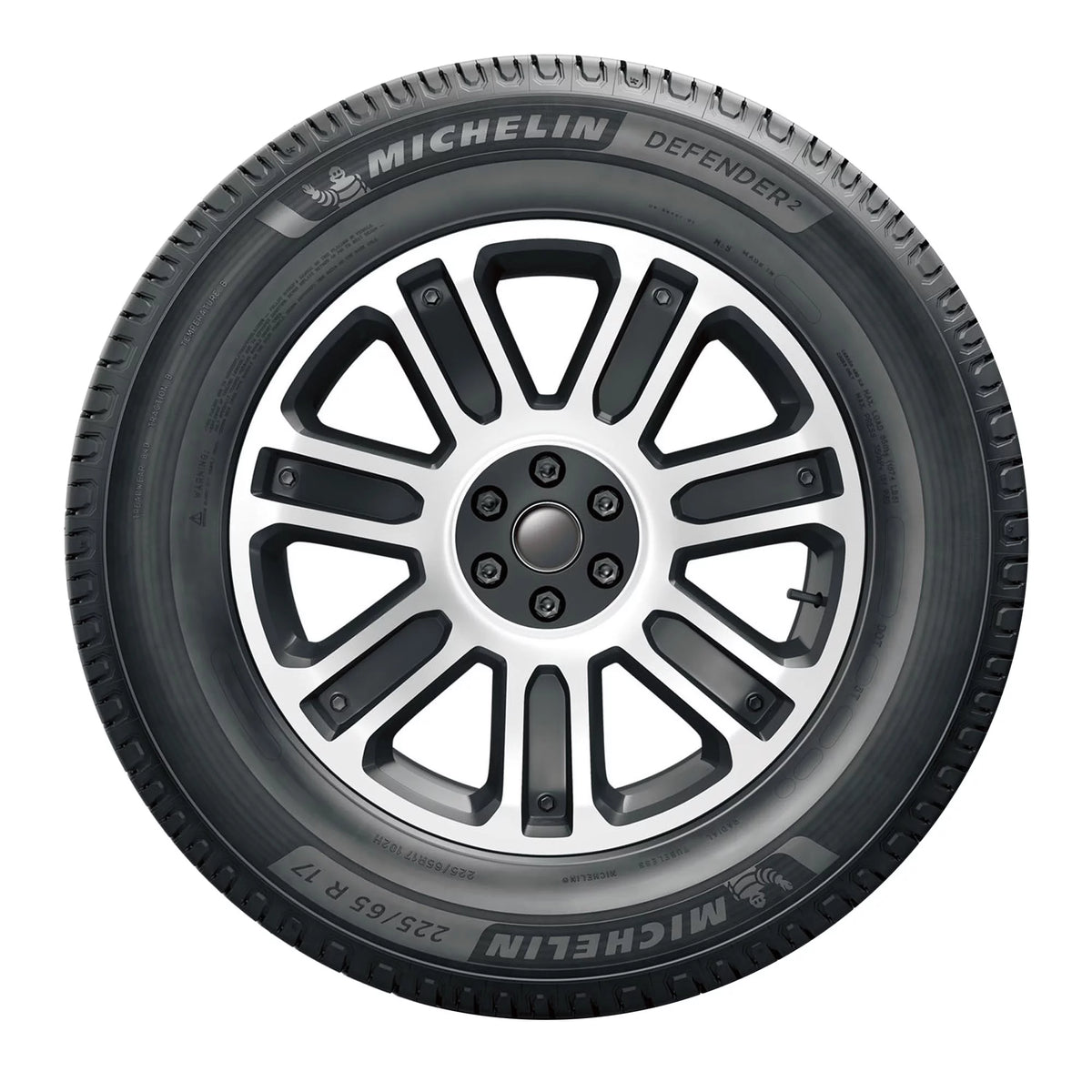 All Season 225/65R17 102H Passenger Tire R842