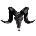 Genuine Ram Skull with Horns P935566