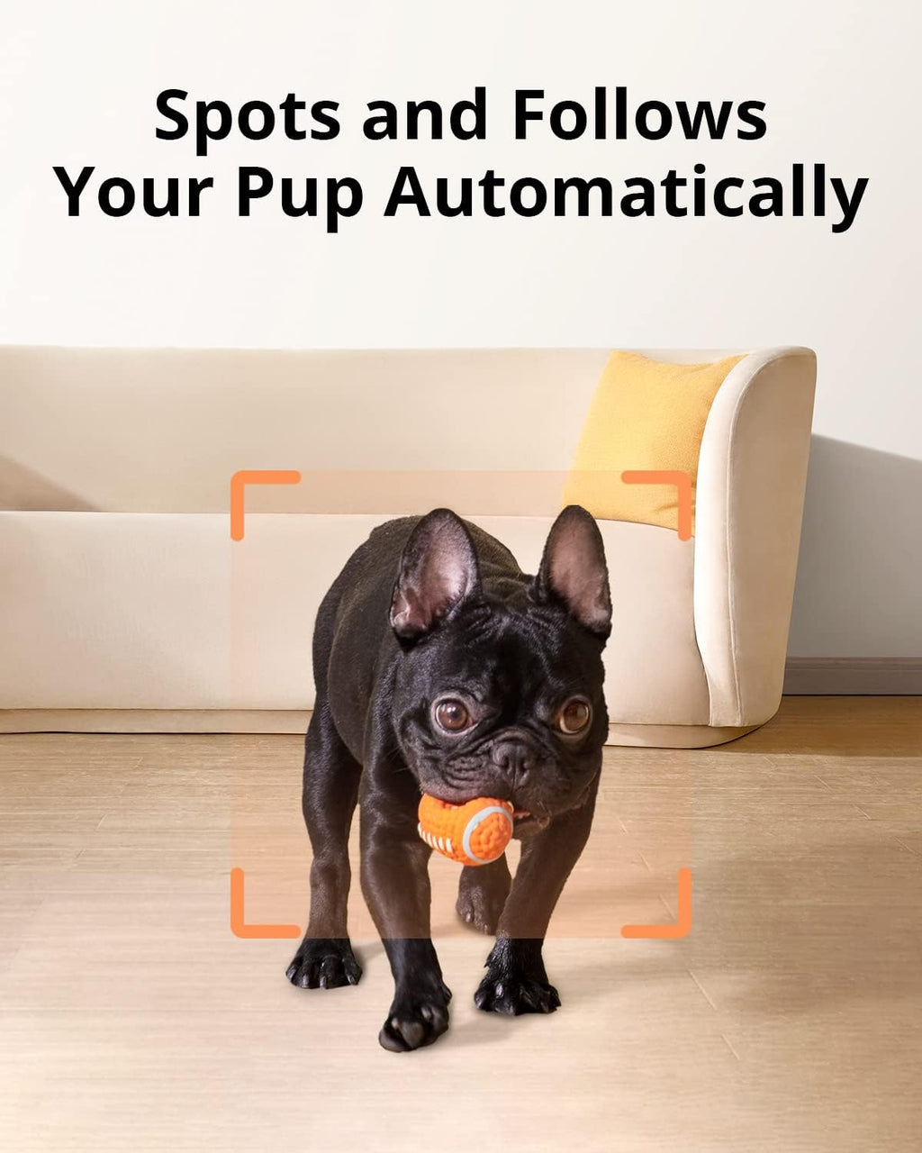 1080p Pet Camera with Treat Dispenser G717835