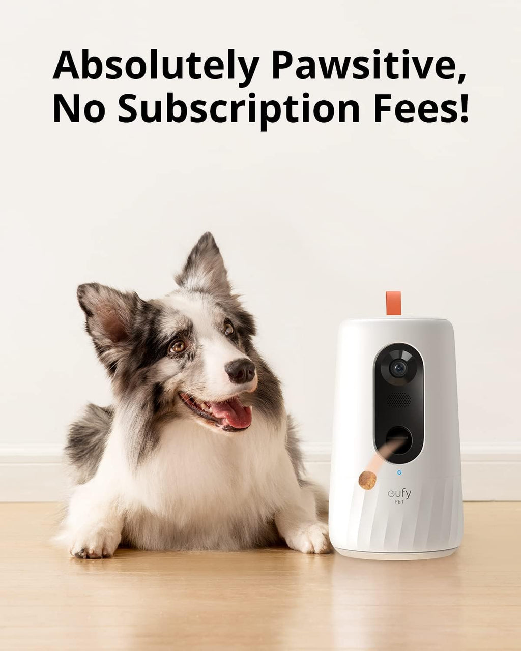 1080p Pet Camera with Treat Dispenser G717835
