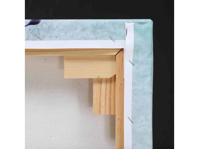 Giclee Canvas Wall F98116
