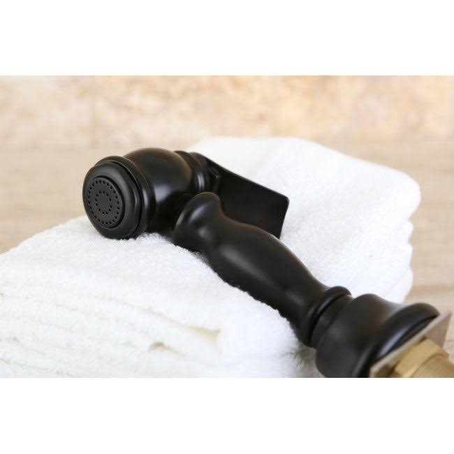 Polished Brass Kitchen Faucet Sprayer D556