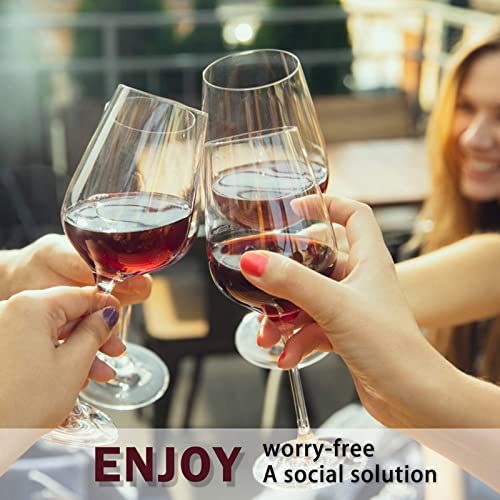 Wine Sulfite Filter 12 Pack L485944