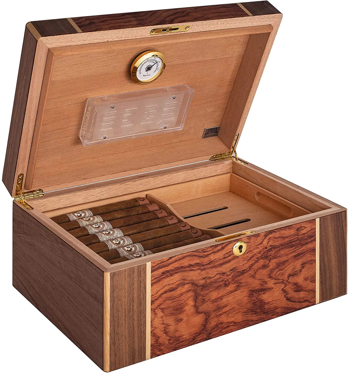 Desktop Cigar Humidor, High-Gloss Walnut A828431