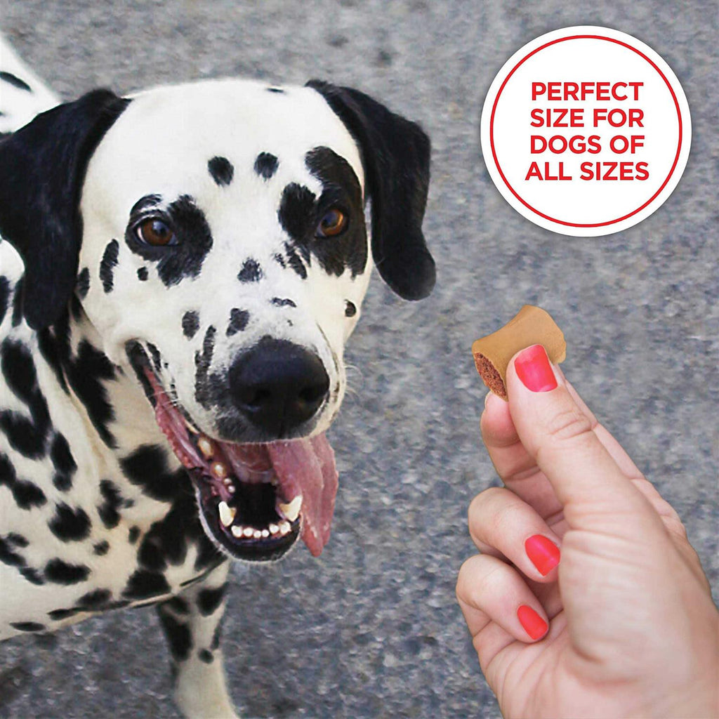 Dog Treats H58057