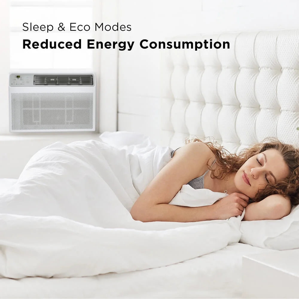 6000 BTU Smart Window Air Conditioner H227