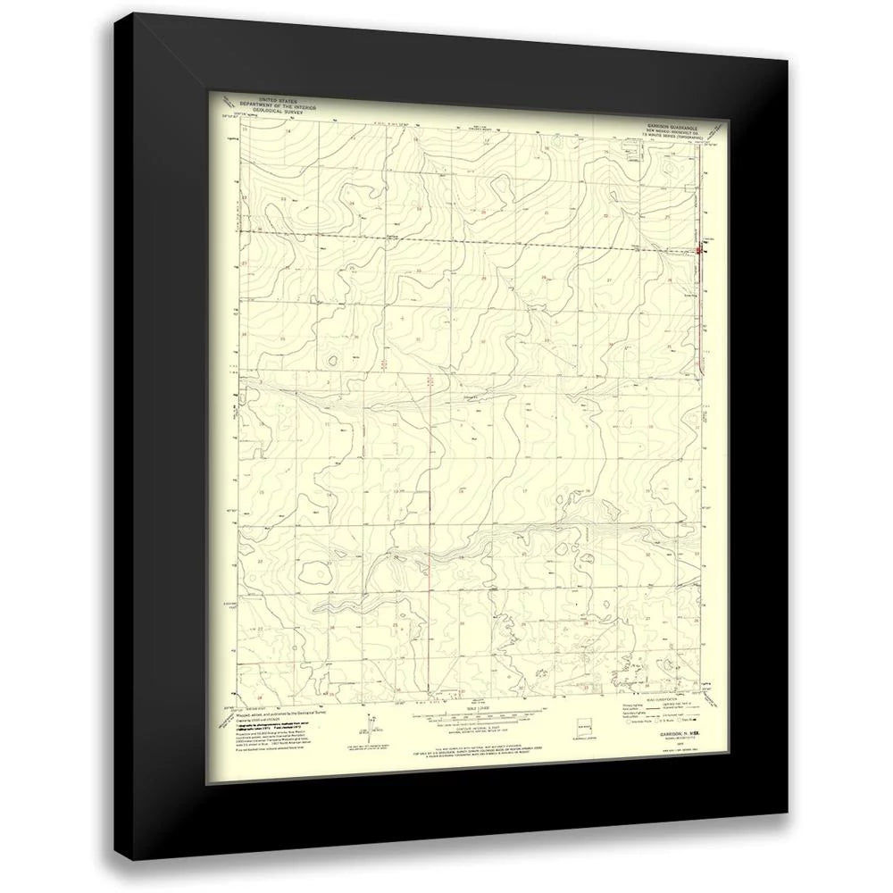 Black Modern Framed Art Print Z17833