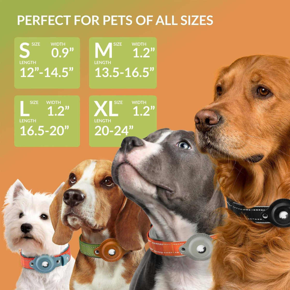 Reflective Dog Collar K2231