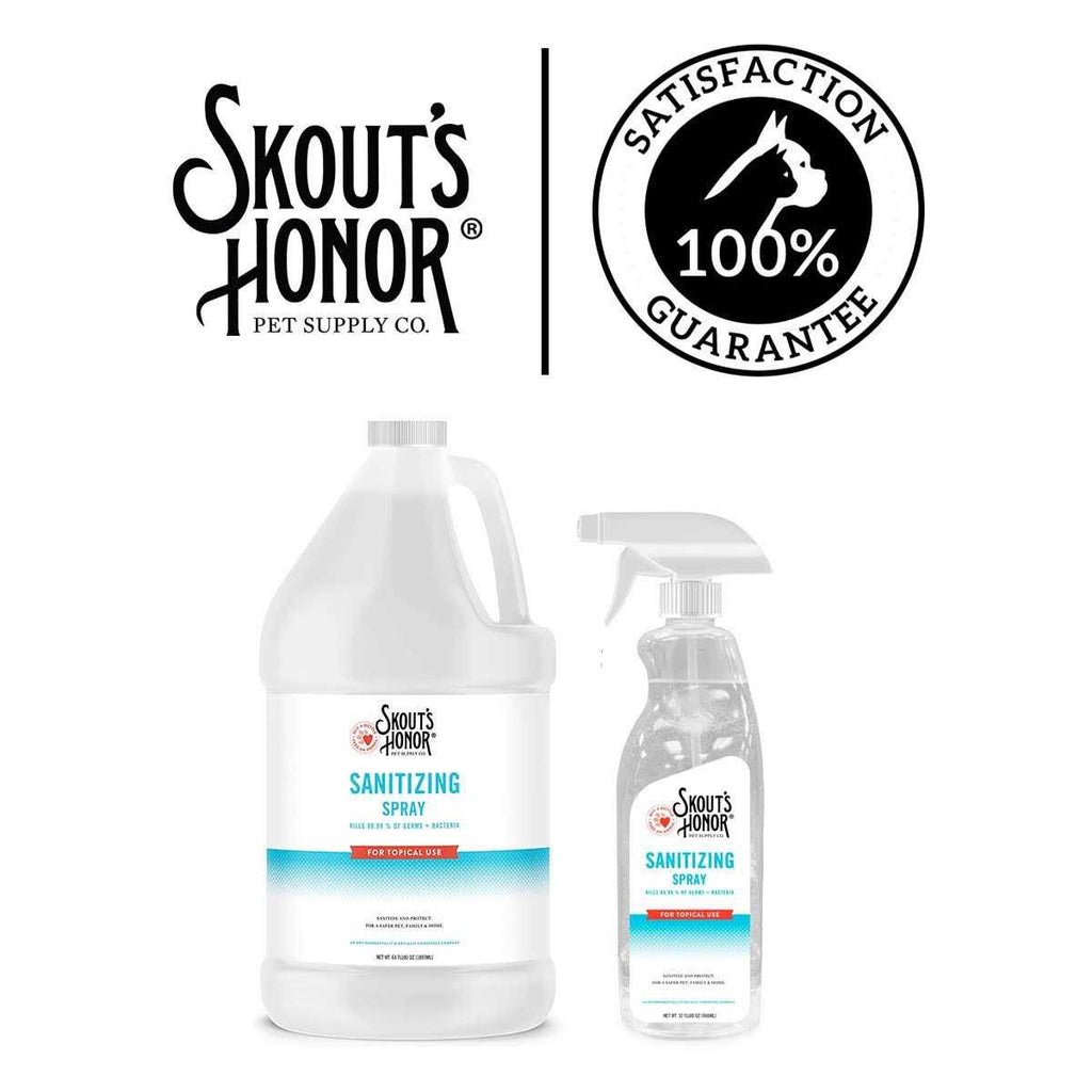 Sanitizing Spray E62324