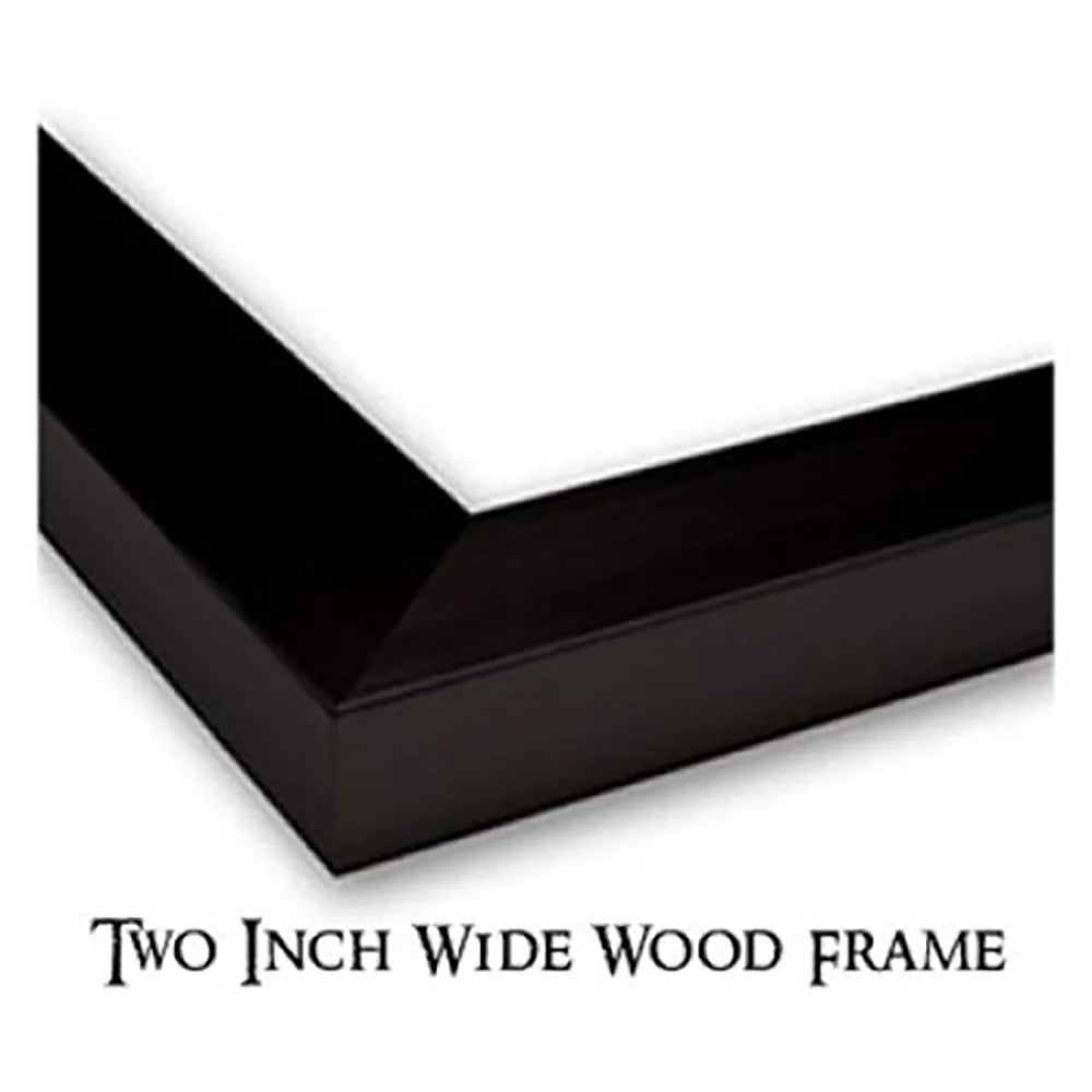 Black Modern Framed Art Print Z17833