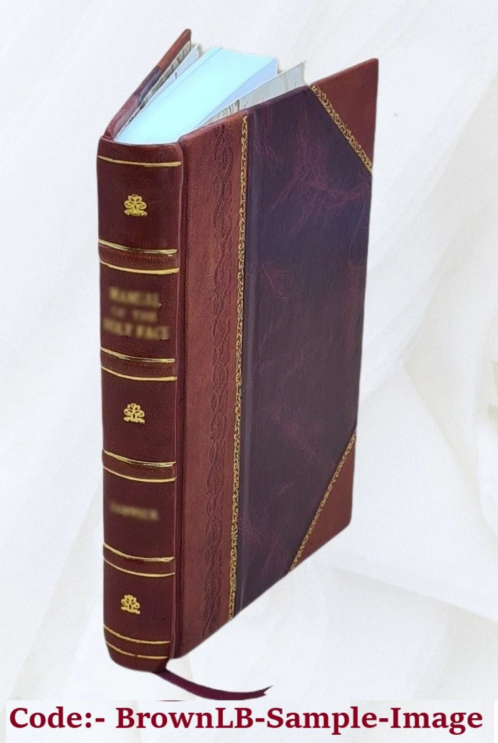 Tableaux Exposes dans la Galerie du Musee Royal Leather Bound W556008