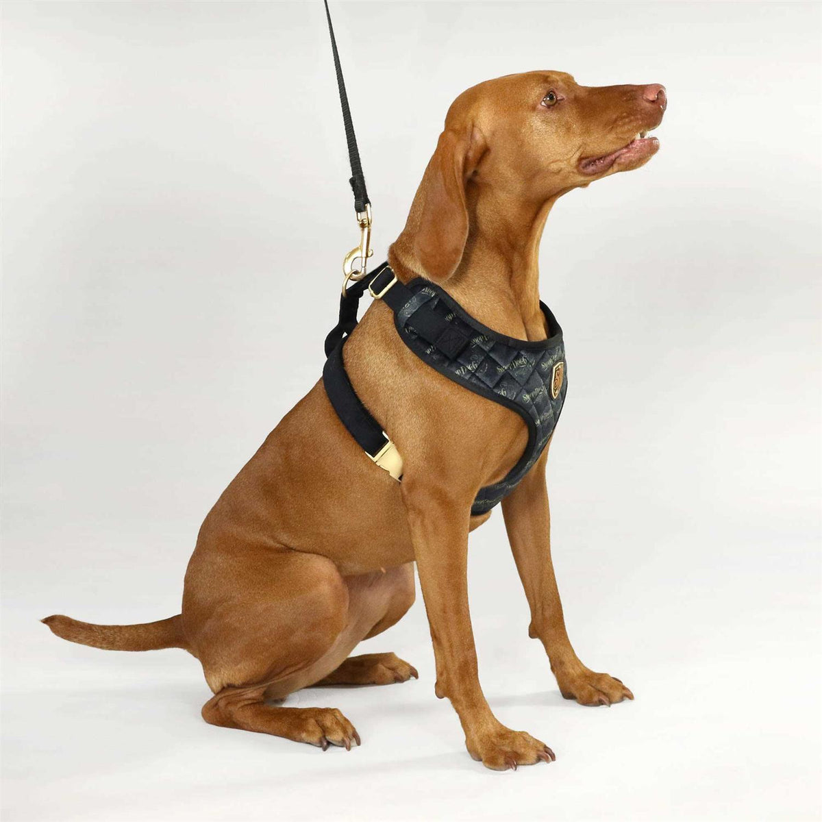 Quilted Pet Harness P196825
