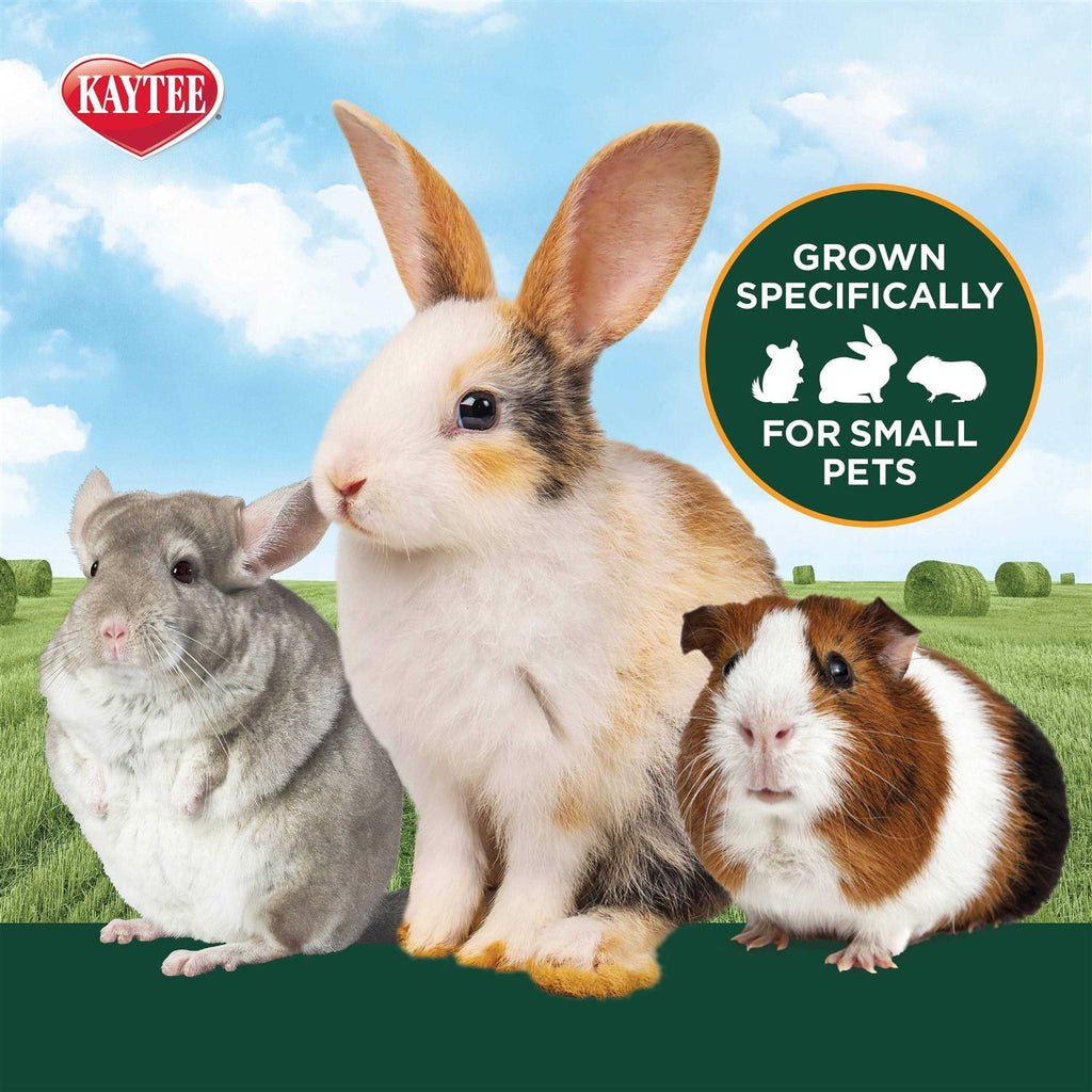 Timothy Hay Pet Supplies N249232