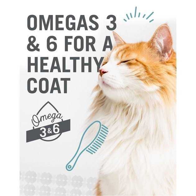 Chicken & Duck Cat Food N187564