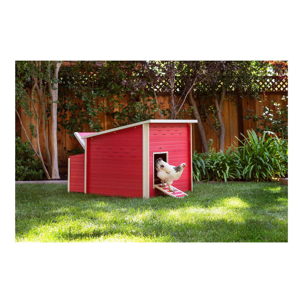 Jumbo Chicken Barn S90317