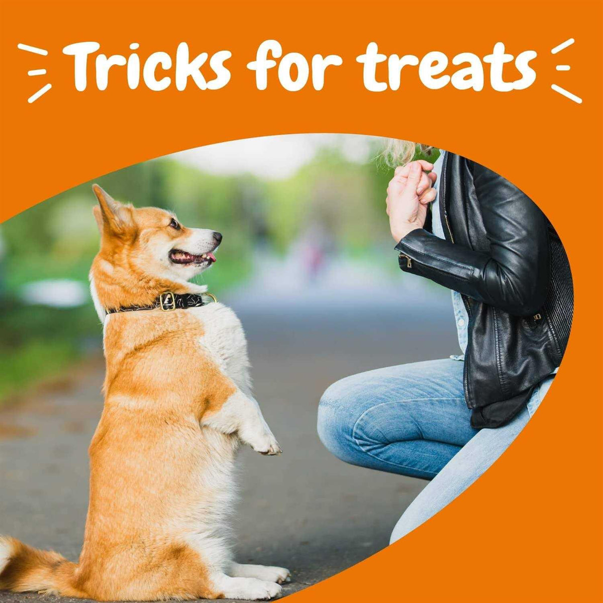Training Treats for Dogs P371741