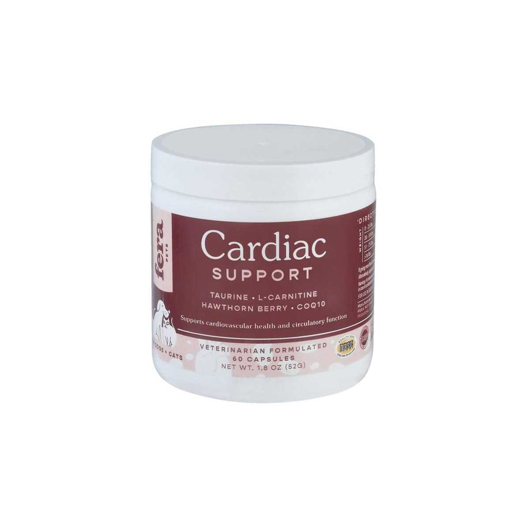 Cardiac Support for Dogs + Cats Y162387