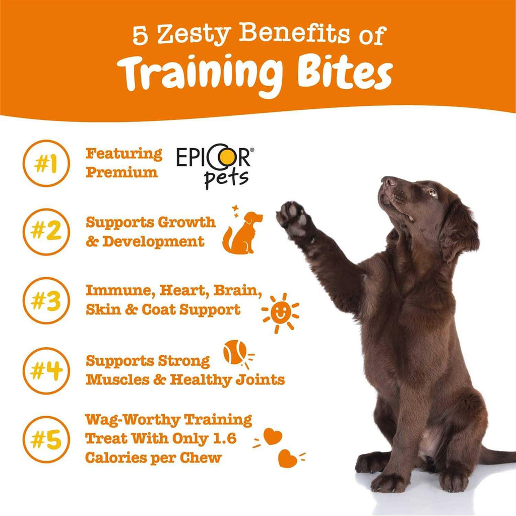Training Treats for Dogs P371741