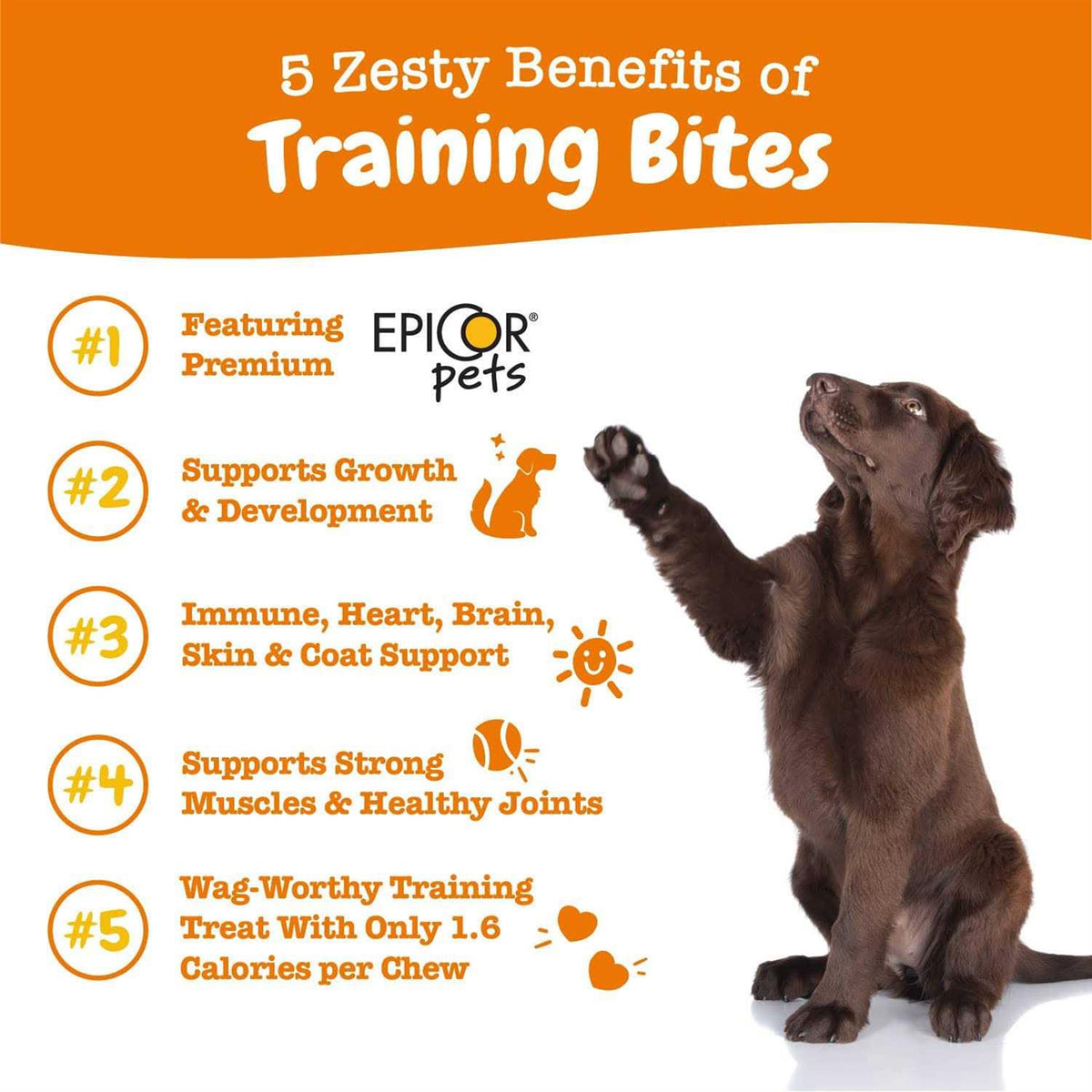 Training Treats for Dogs P371741