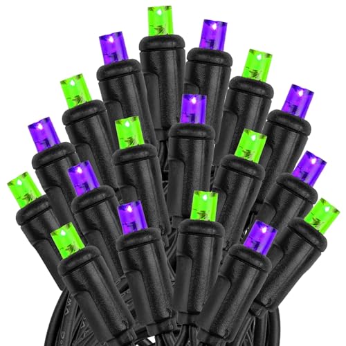 50 LED Purple/Lime Green String Lights on Black Wire W2884